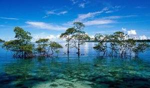 ANDAMAN ISLANDS TOUR PACKAGE FROM KOCHI-2 ANDAMAN-ISLANDS-TOUR-PACKAGE-FROM-KOCHI