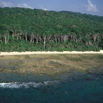 andaman tour package from madurai-2 andaman tour package from madurai