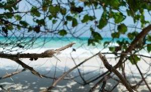 ANDAMAN TOUR PACKAGE FROM CHENNAI