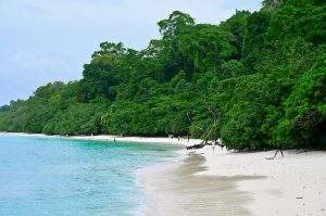 andaman tour pacakage from coimbatore