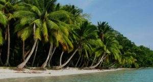 andaman tour package from madurai