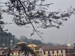 nepal tour package from trichy