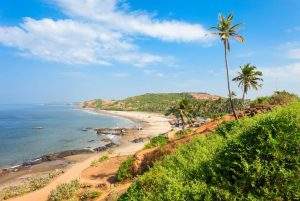 odisa tour pacakge from trichy