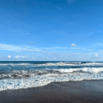 orissa tour package from salem