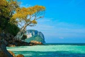 thailandtourandtravelsagecnyinhyderabhbyflightfromchennai