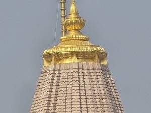 kasi-viswanarthar-temple-flight