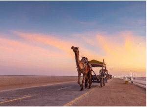 gujarat tour operators Gujarat-tour-operators in bangalore