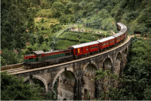 srilanka tour package from kochi srilanka-tour-package-from-kochi