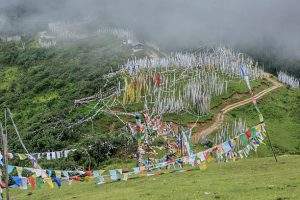 Prayer Flags at Chelela Pass, Bhutan - between Paro and the Haa Valley bhutan tour operators in chennai