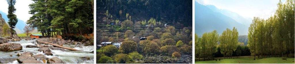 Kashmir Tour package from Chennai